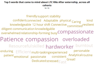 Word cloud about RNs working in LTC